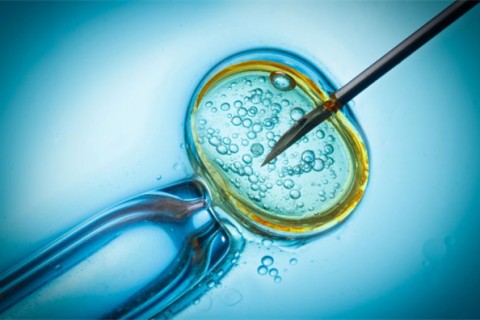 http://jinhua.qqkaixin.com/post/199.html|金华供卵助孕